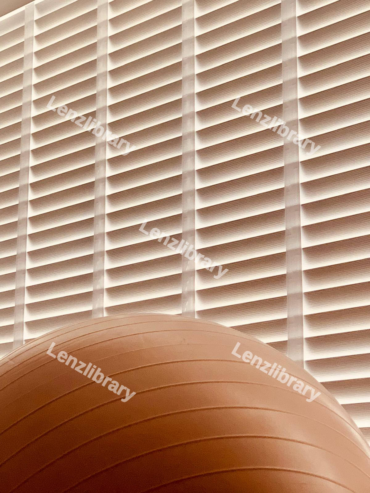 Pink Ball White Blinds